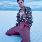 0503_brad_pitt_g5