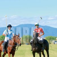 polo-2