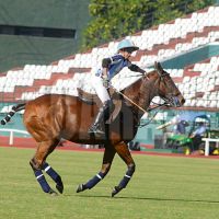 polo-2