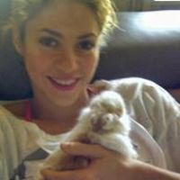 shakira-24