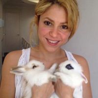 shakira-27
