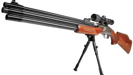 2a