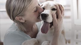 GERIOOX-banner_728x500_Perfil-Rouge_02