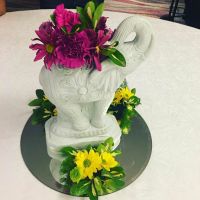 2017-06-17-165229