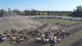 Fiesta-de-las-Tropillas-2016