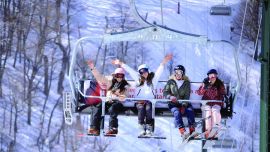 VACAVOLADORA DSC_4419