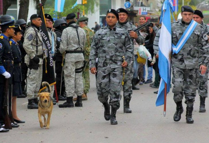 Atropellaron a Mariscal, el perro que custodiaba la Casa de Gobierno de Chaco