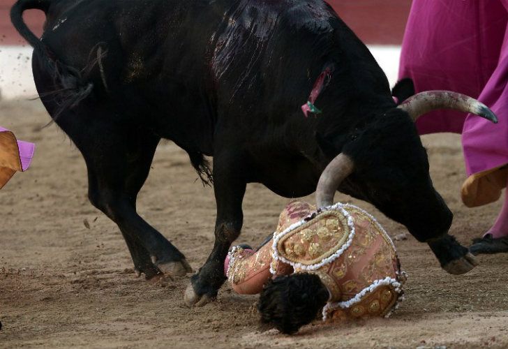 Falleció un torero luego de una cornada en una corrida en una plaza francesa.