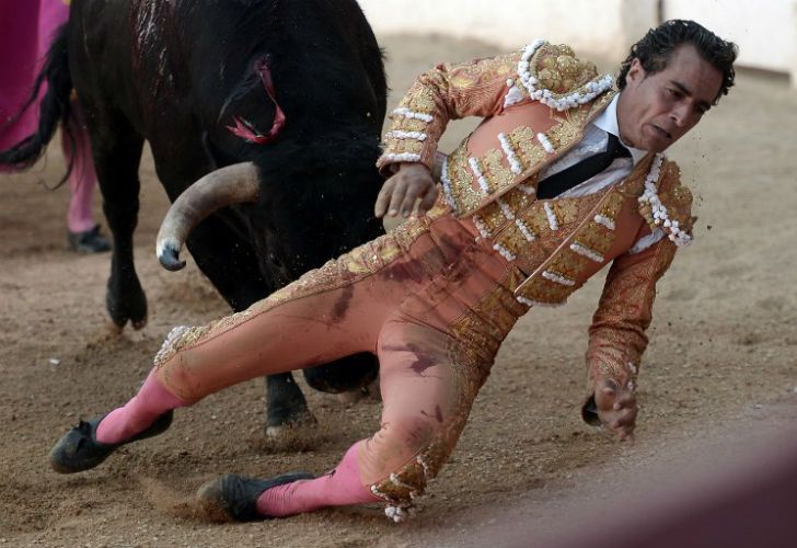 Falleció un torero luego de una cornada en una corrida en una plaza francesa.