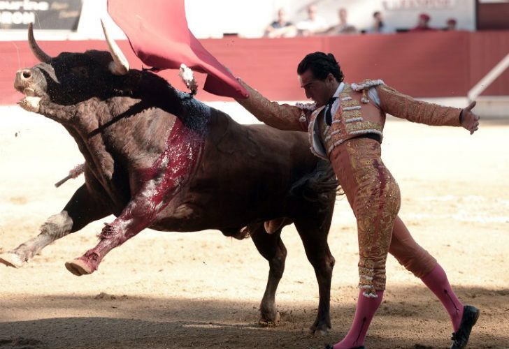 Falleció un torero luego de una cornada en una corrida en una plaza francesa.