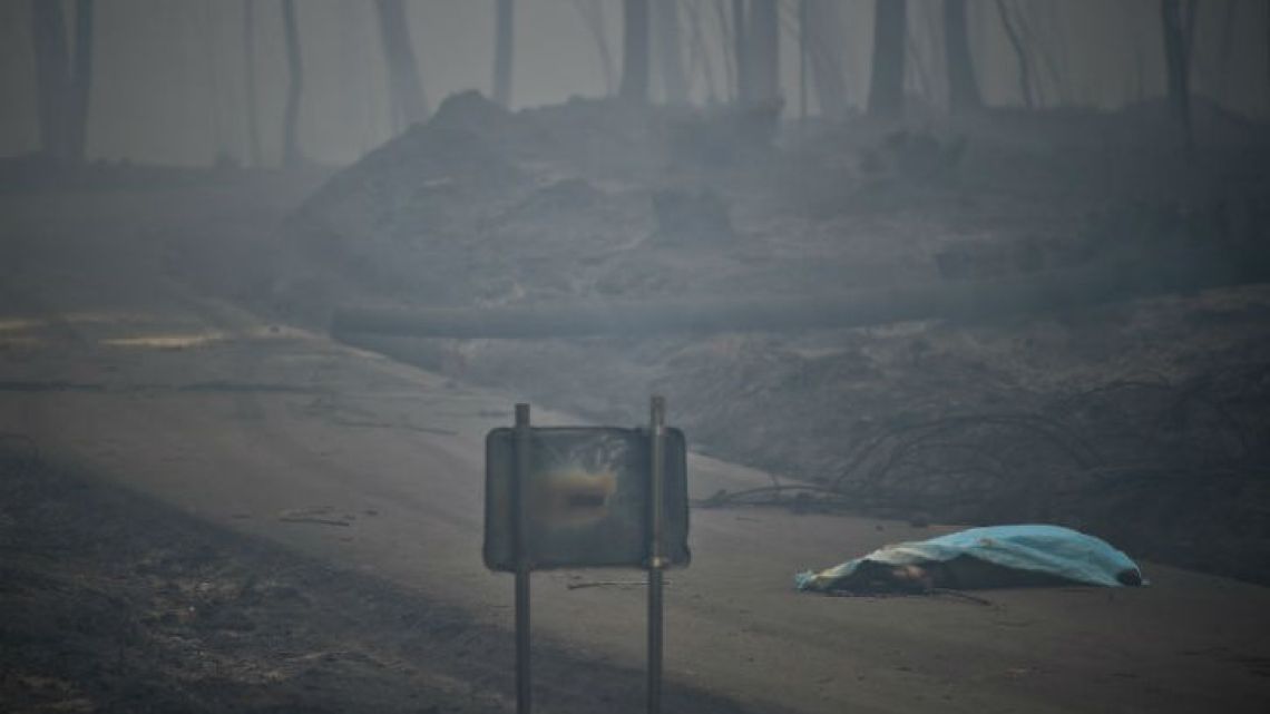 Ya son 62 los muertos por un incendio forestal en Portugal | Perfil