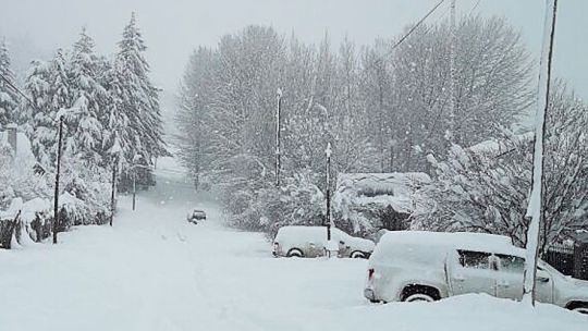 Todo blanco. En Esquel y otras zonas cordilleranas de Chubut, las calles amanecieron aisladas.