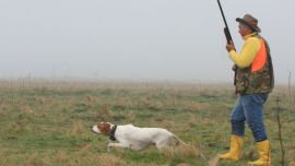 Perdices en Ayacucho-11