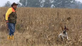 Perdices en Ayacucho-64