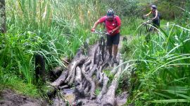 Puentes Precarios (5)