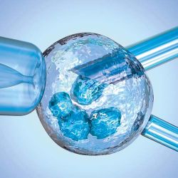 artificial-insemination-glass-needle-fertilizing-a-female-egg 