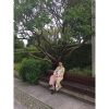 Paloma-En-Jardines-de-Copenhague