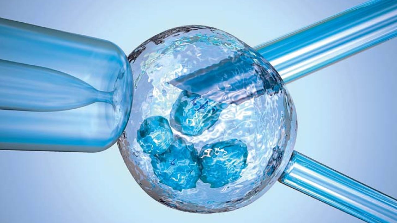 artificial-insemination-glass-needle-fertilizing-a-female-egg