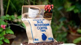 blue mounatin coffe