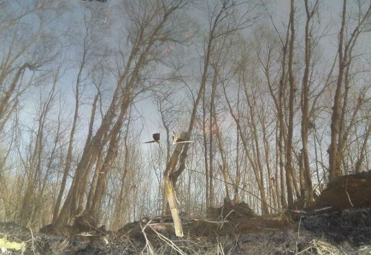 Los restos de la avioneta hallada en el Paraná. 