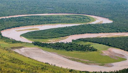 Único. Ubicado entre los ríos Teuco-Bermejo y Bermejito, es el bosque seco más grande del mundo.