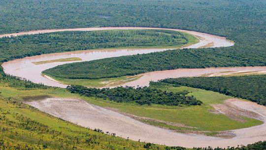 Único. Ubicado entre los ríos Teuco-Bermejo y Bermejito, es el bosque seco más grande del mundo.