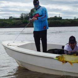 PESCA DORADOS PUERTO YERUA (8)