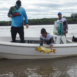 PESCA DORADOS PUERTO YERUA (9)