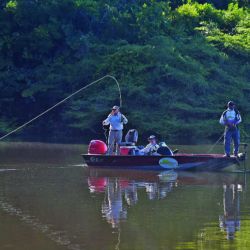 Pesca Amazonas (7)