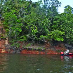 Pesca Amazonas (8)