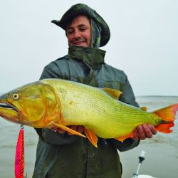 Pesca dorados (10)