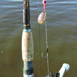 Pesca lenguados (4)