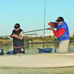 Pesca lenguados (9)