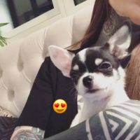 000candeperro
