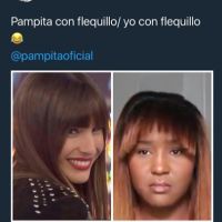 02pampilook