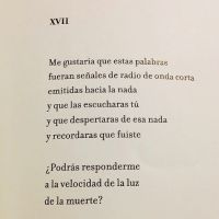 03vicuna