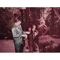 hughhefner-11358963-500303590125708-1990016921-n