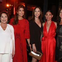 liliana-crignia-juliana-awada-maria-eugenia-vidal-maria-cher-y-carolina-stanley-la-comida-a-beneficio-de-fundacion-voz-129