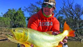 Pesca dorados (12)