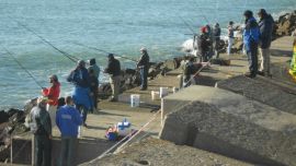 pesca-torneo
