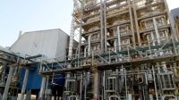 biodiesel argentino
