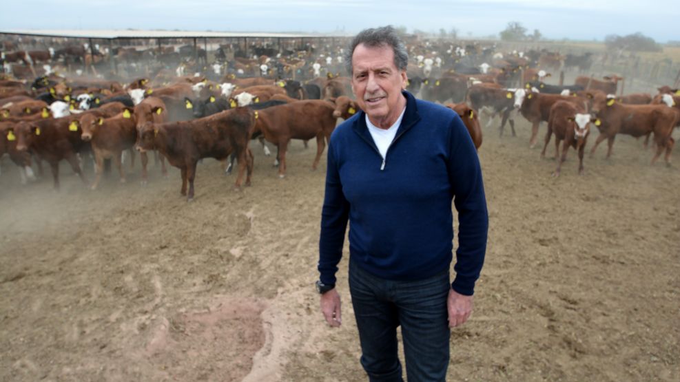 Jorge Brito quiere cotizar sus vacas en Nueva York