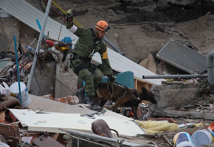 El temblor se produjo mientras se producían tareas de rescate del sismo anterior.