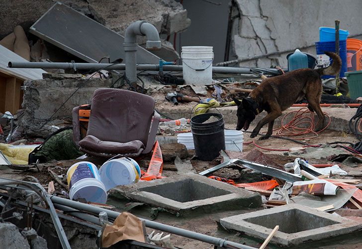 El temblor se produjo mientras se producían tareas de rescate del sismo anterior.