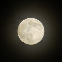 00lunallena01