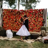 isabelmacedophoto-21910159-118166888856494-3346701064651931648-n