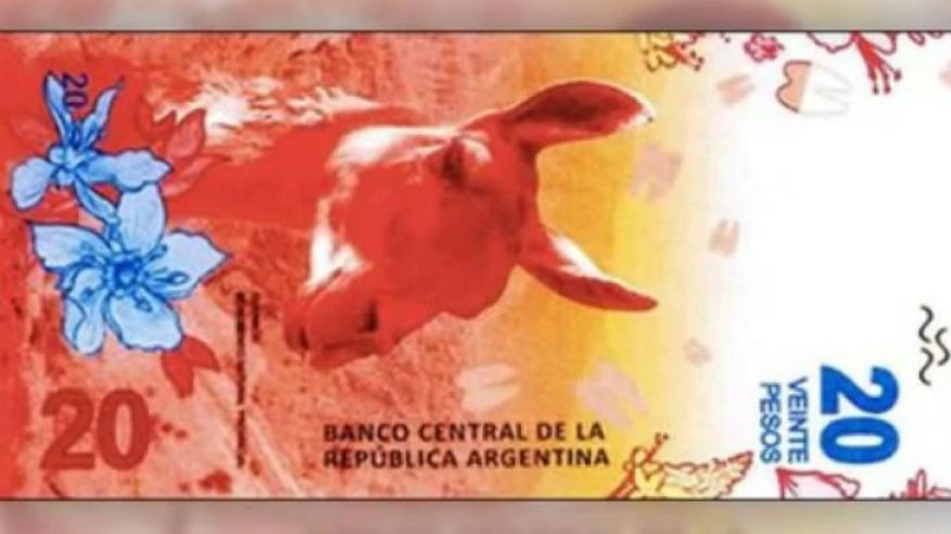 1004-billete-20-pesos-guanaco-00