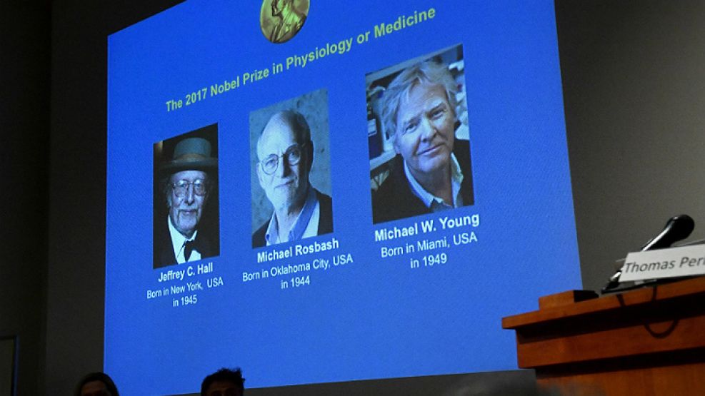 Una pantalla muestra a los ganadores del Premio Nobel de Medicina 2017, durante la conferencia de prensa en Estocolmo, Suecia