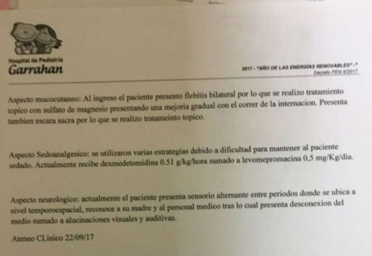 El documento que presentó el Hospital Garrahan. 