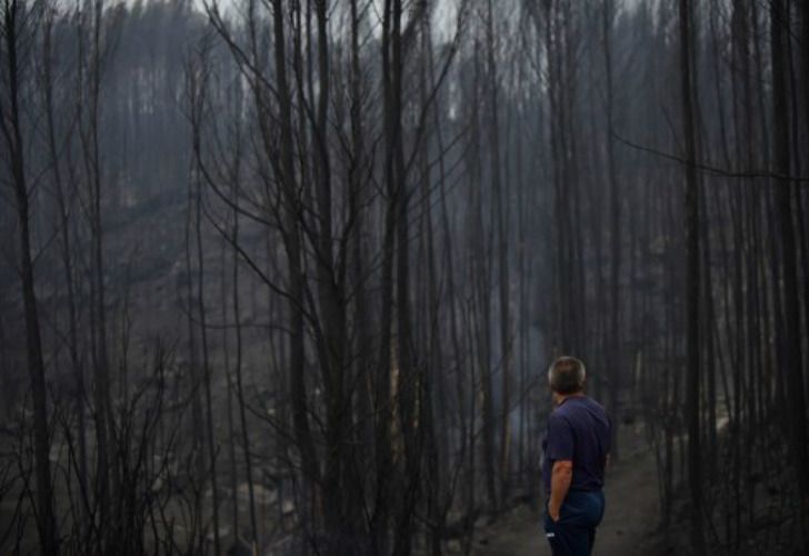 Ya hay casi 40 muertos por el incendio en Portugal y España.